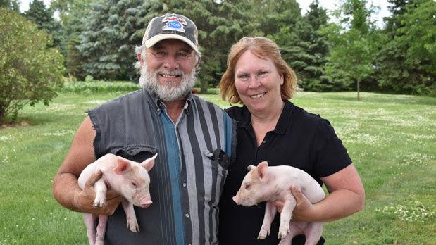 A helping hand: Pig farmer survives shutdown with hundreds of new customers